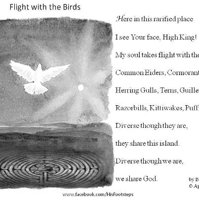 Bonnie Harr - Flight with the Birds