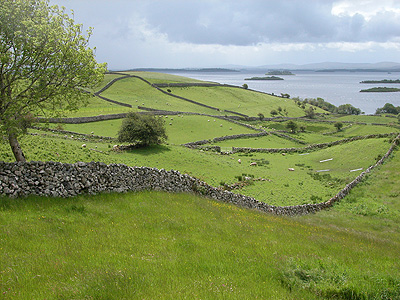 stone-walls-ireland