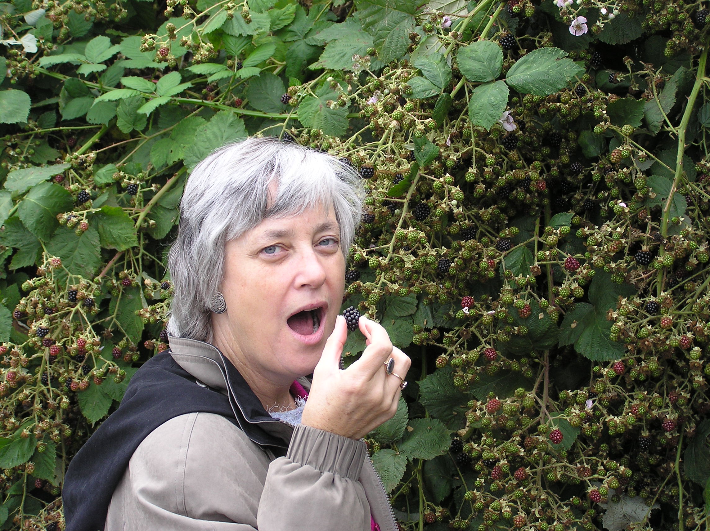 Blackberry feast