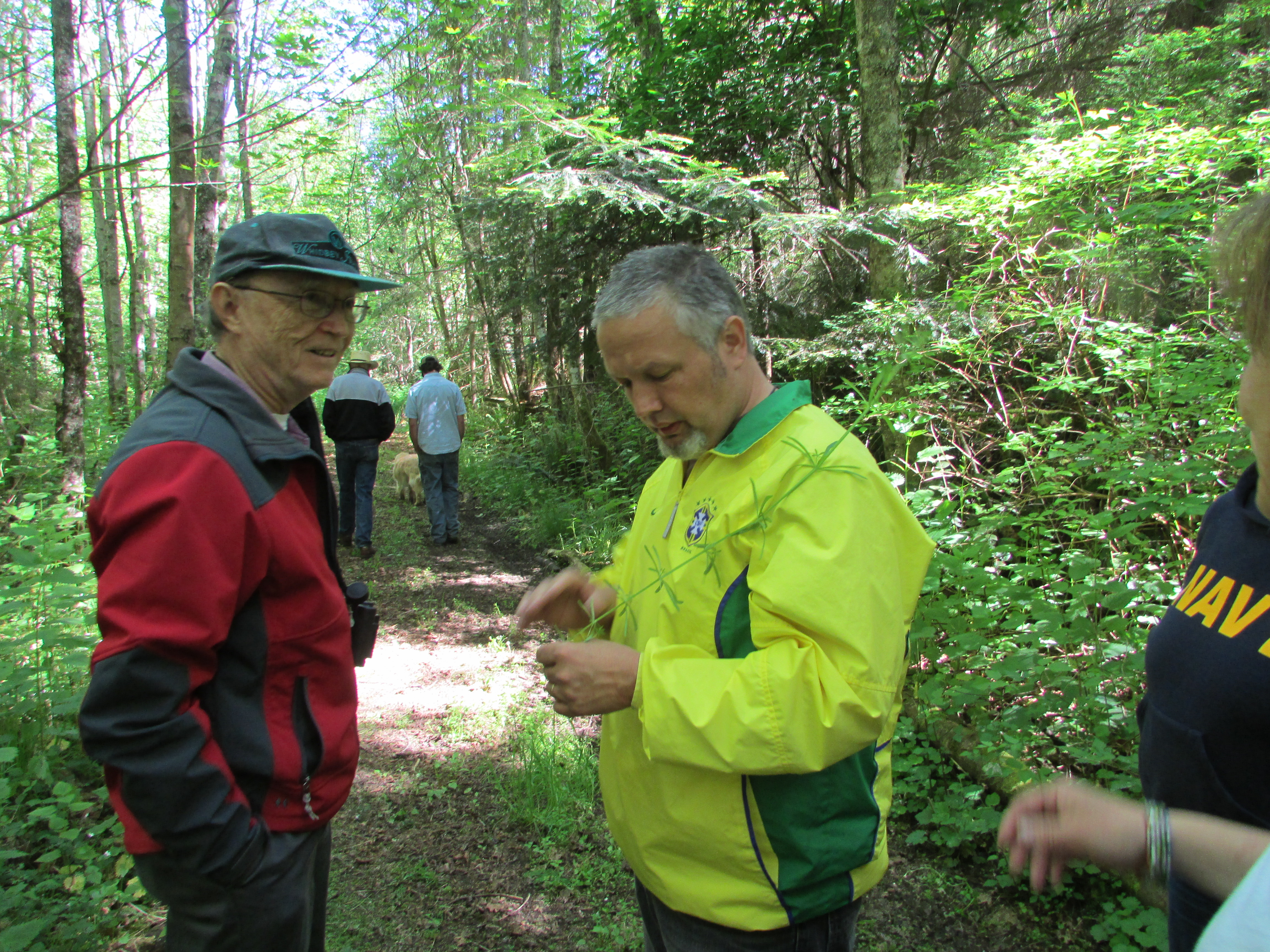 On the Wild Camano tour