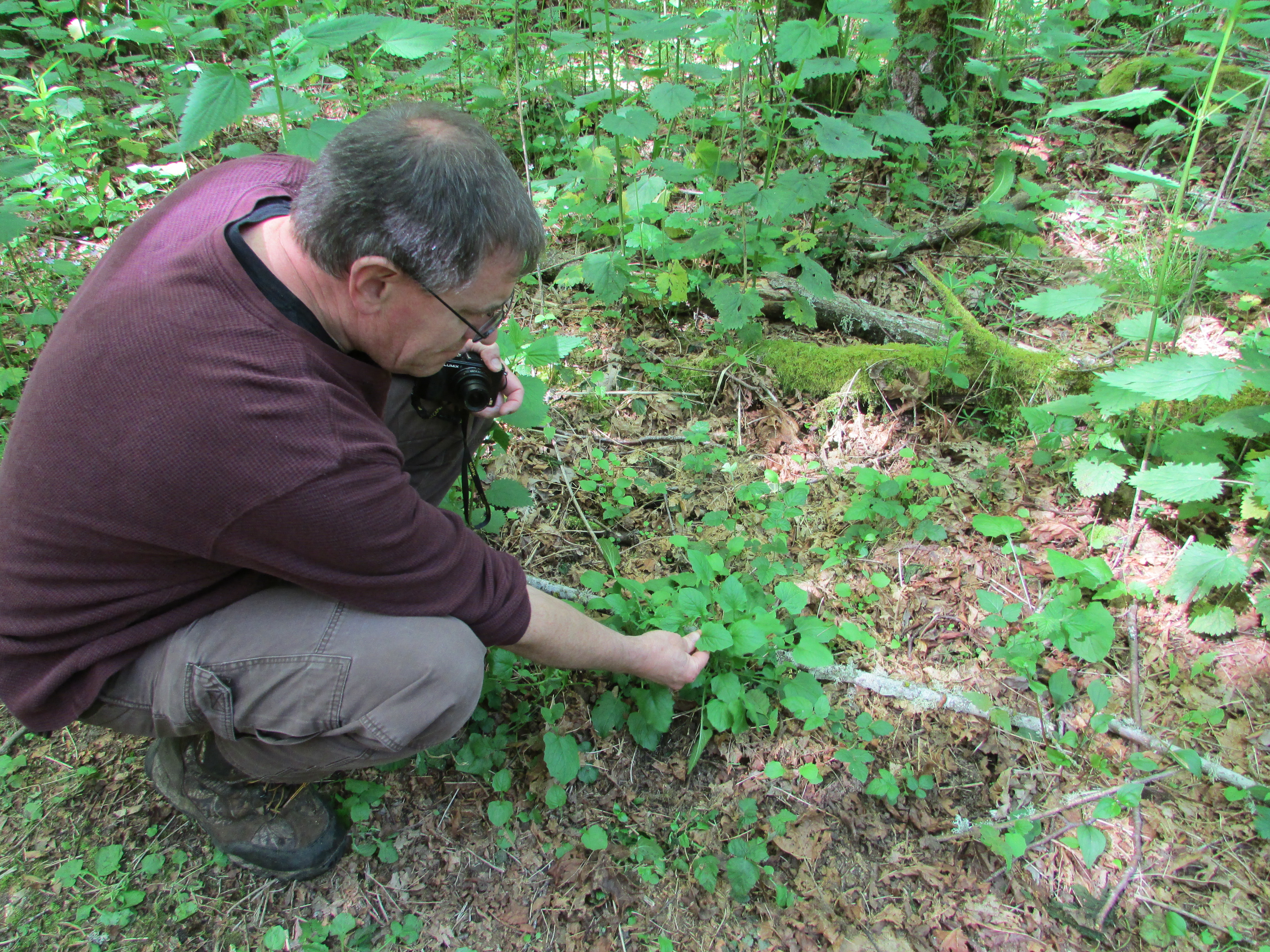 Andy Wade samples a local salad green