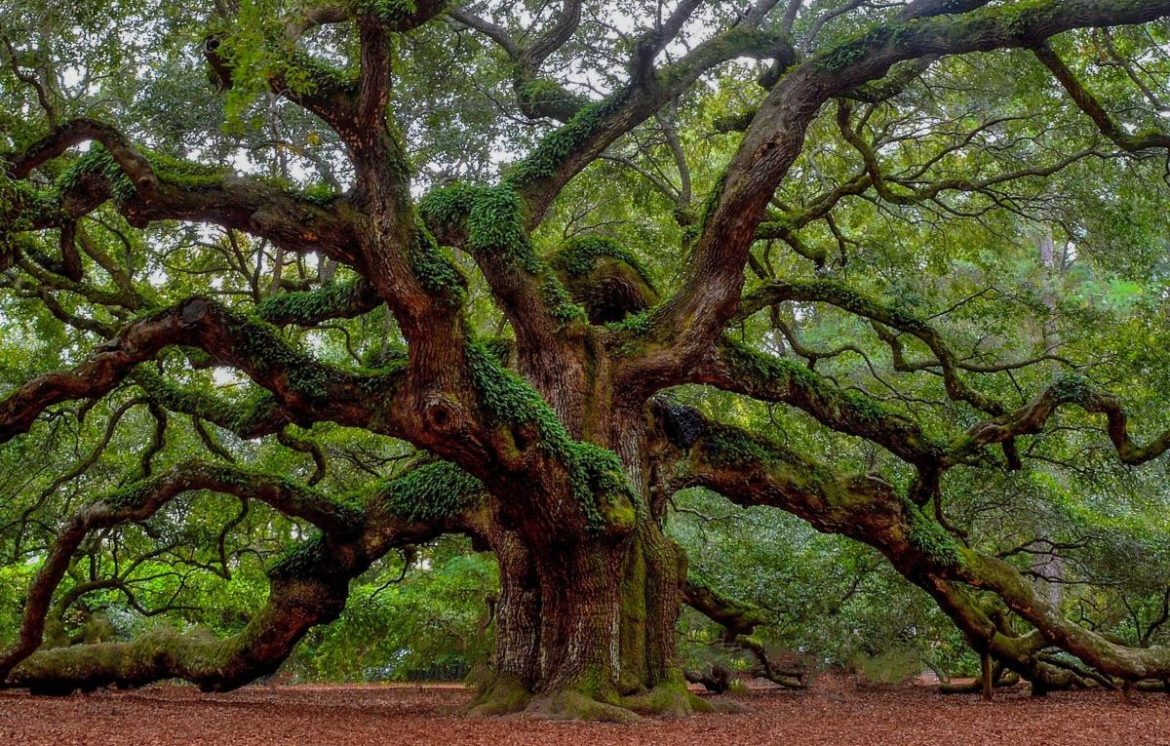 andrew shelley Hzbq4de24kQ unsplash