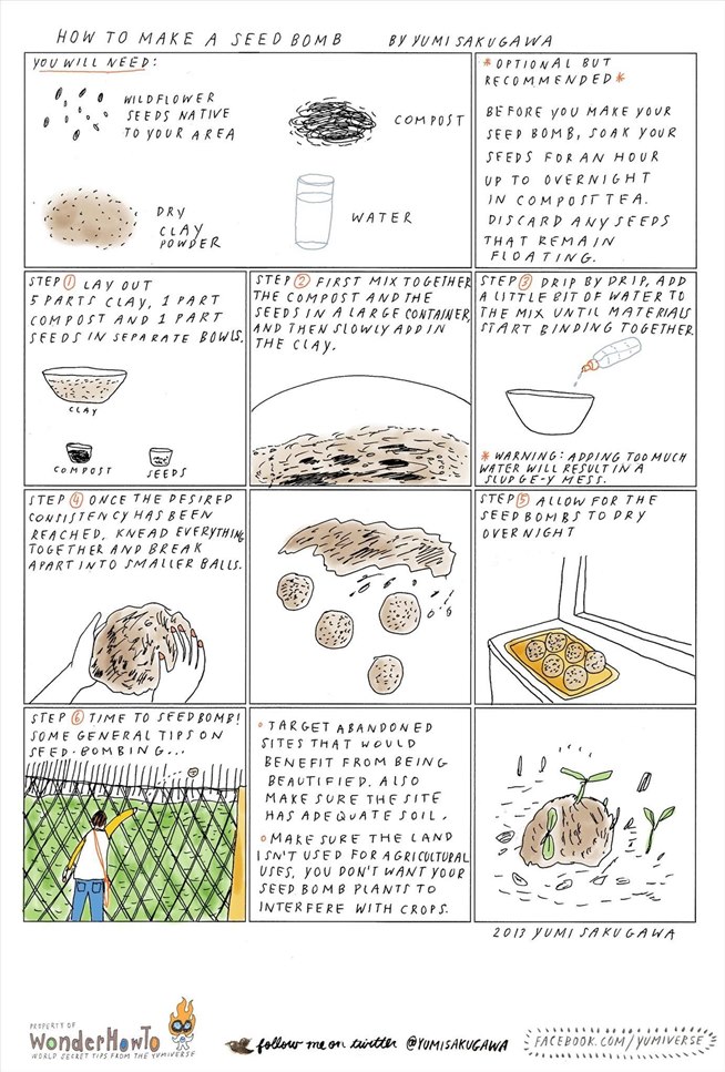 guerrilla-gardening-101-make-seed-bomb.w654