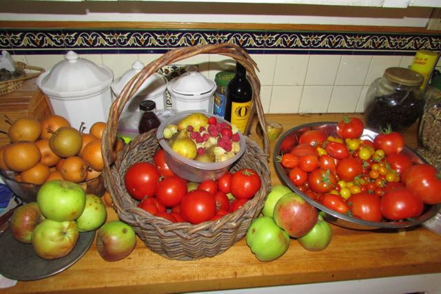 Garden harvest 