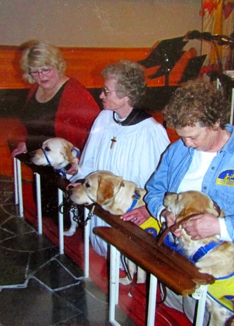 St Francis Day & Blessing of the Animals – Godspacelight