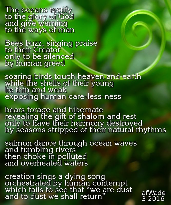 profectic creation.poem