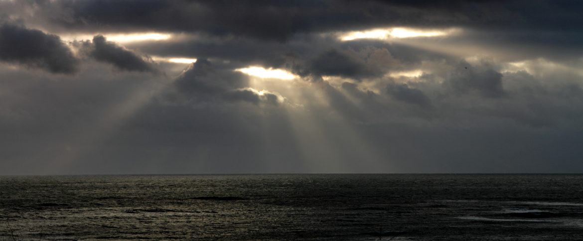 resplendent stirrings