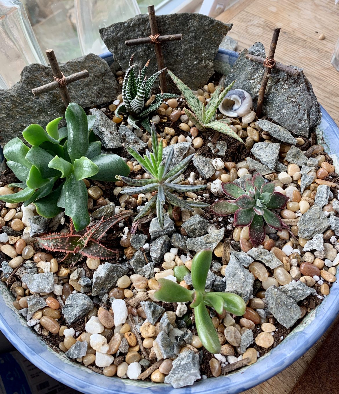 Lenten garden fully revealed
