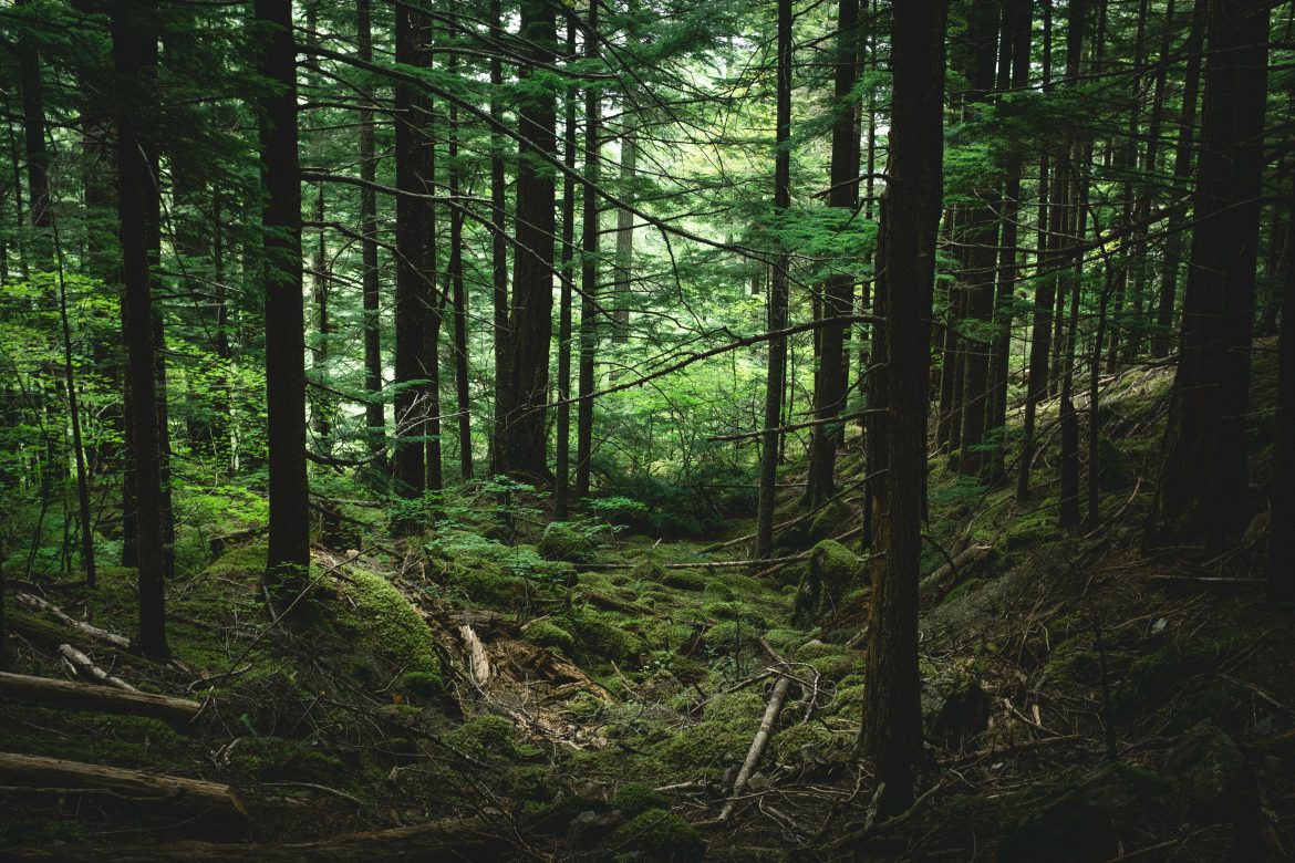 In the great silence