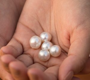 5 White Australian Pearls