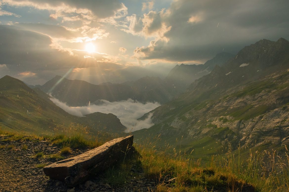 96215600 1362499607283764 3225432053164015616 o