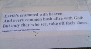 Burning Bush Quote