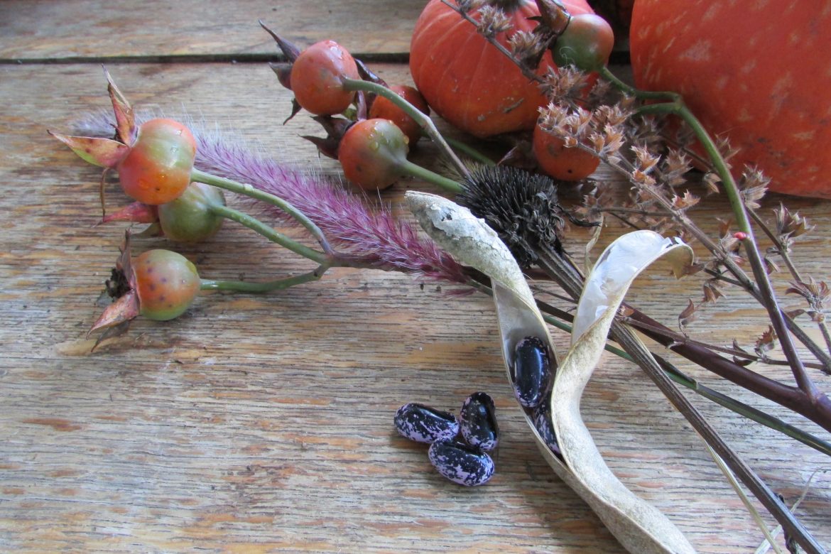 The Gifts of God’s Work IMG 8637