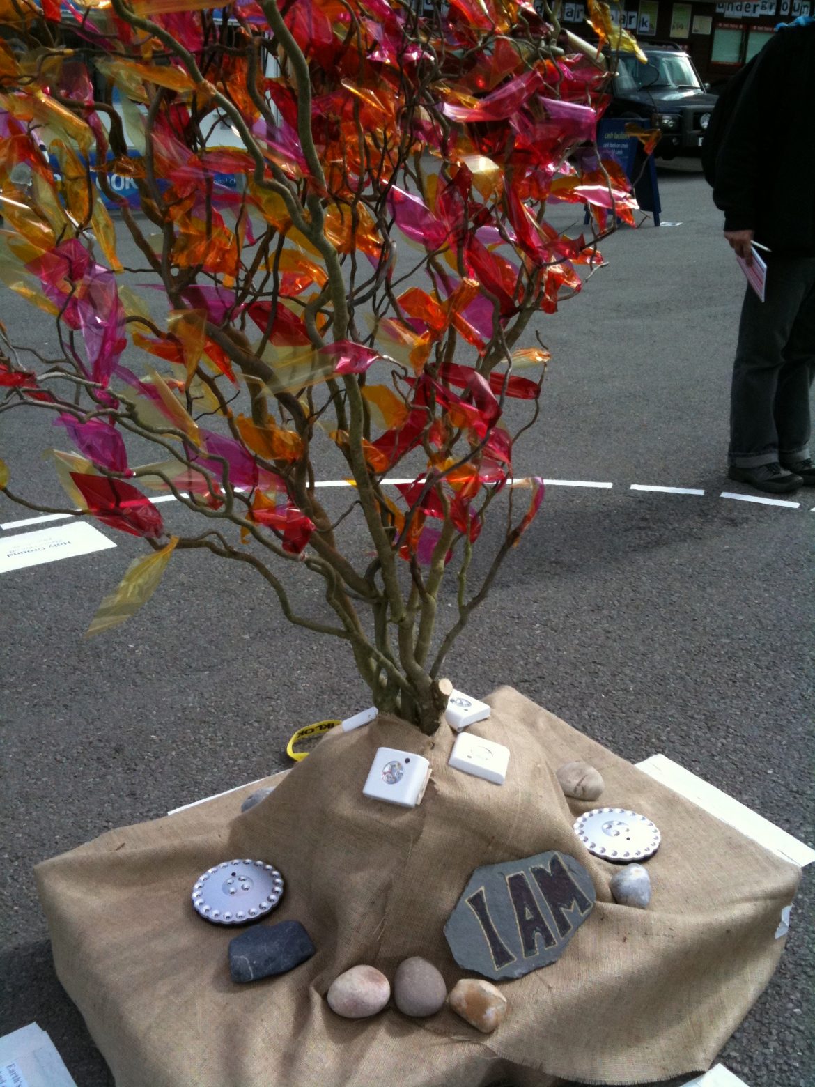 burning bush beyond burning bush beyond