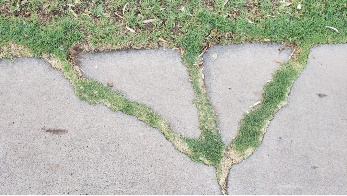 opportunities in brokenness opportunities in brokenness