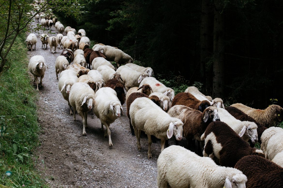 volkan kacmaz Ib6uDiUTakg unsplash volkan kacmaz Ib6uDiUTakg unsplash