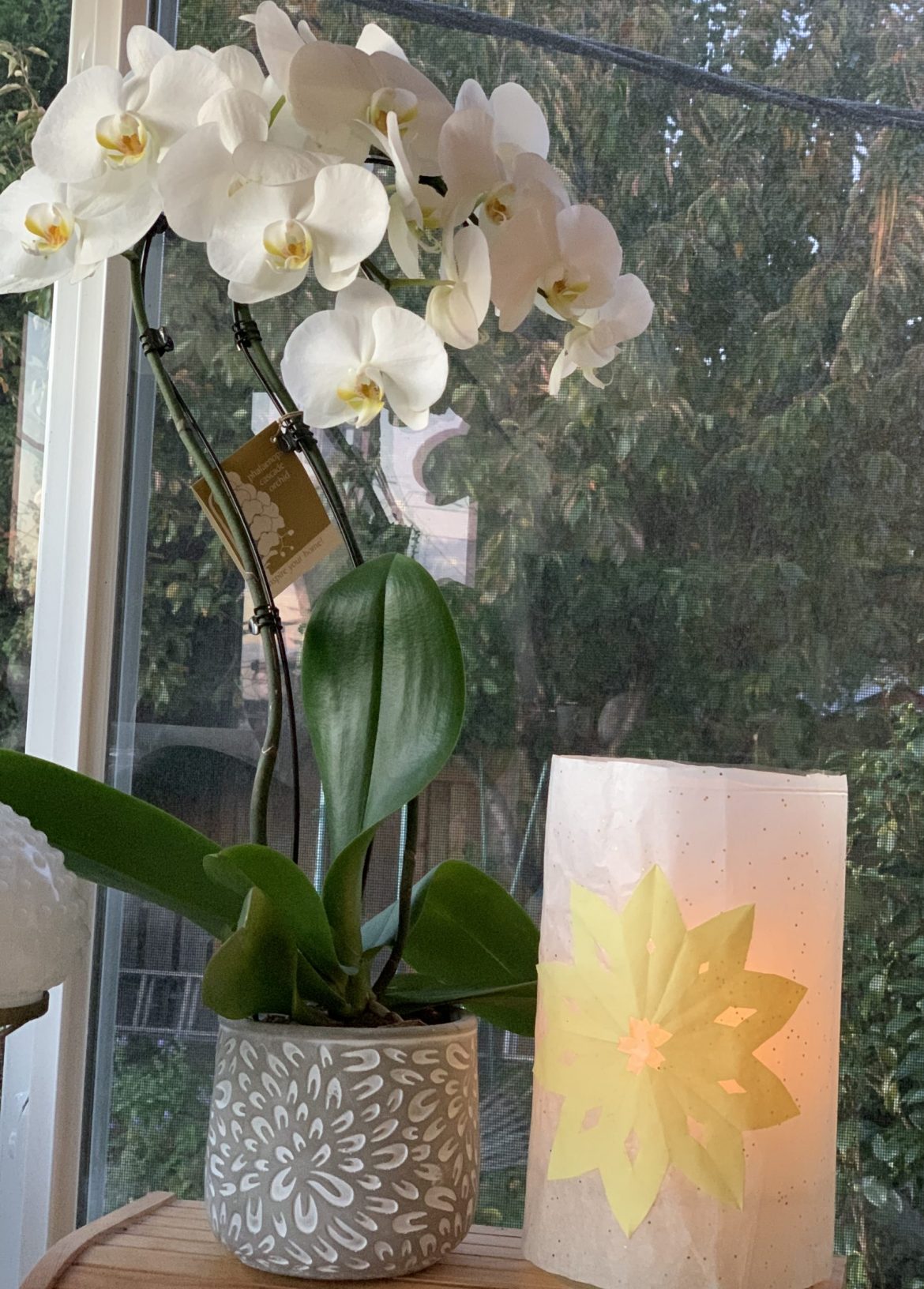 Star lantern with orchid Star lantern with orchid