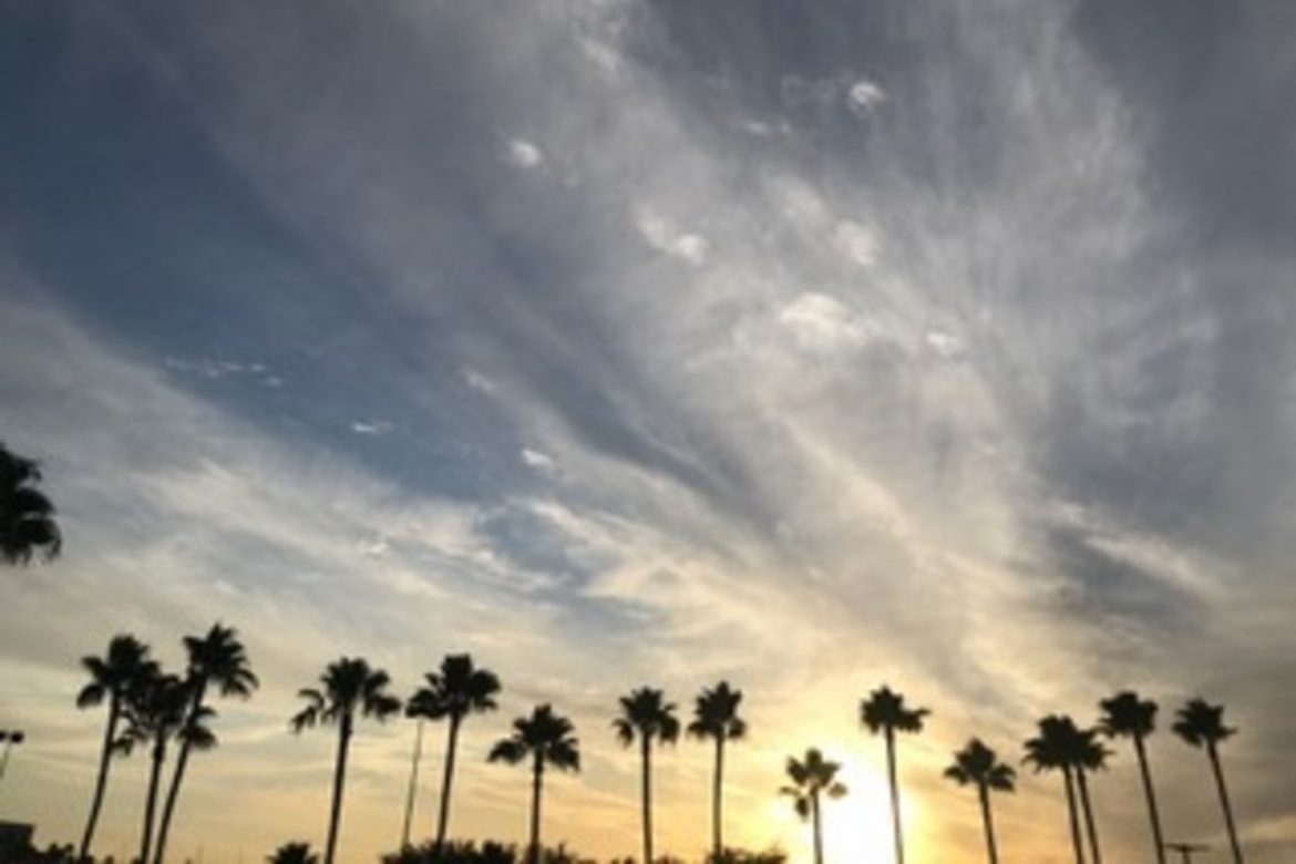 Lean towards the light of a new day 4