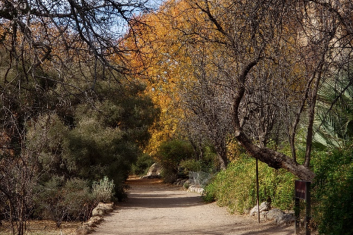 Moving Out of Egypt 1