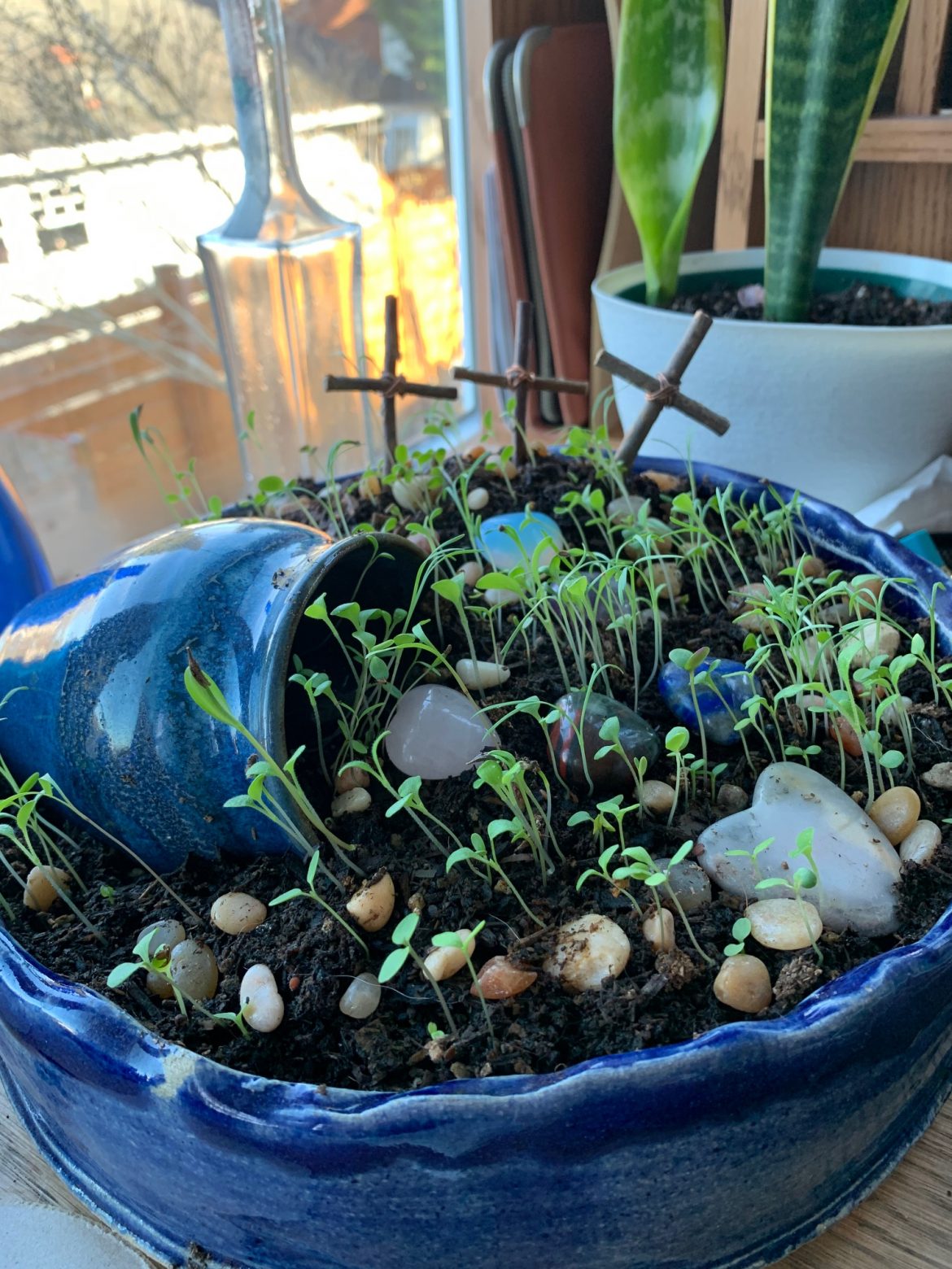 Contemplative garden - Time for Love