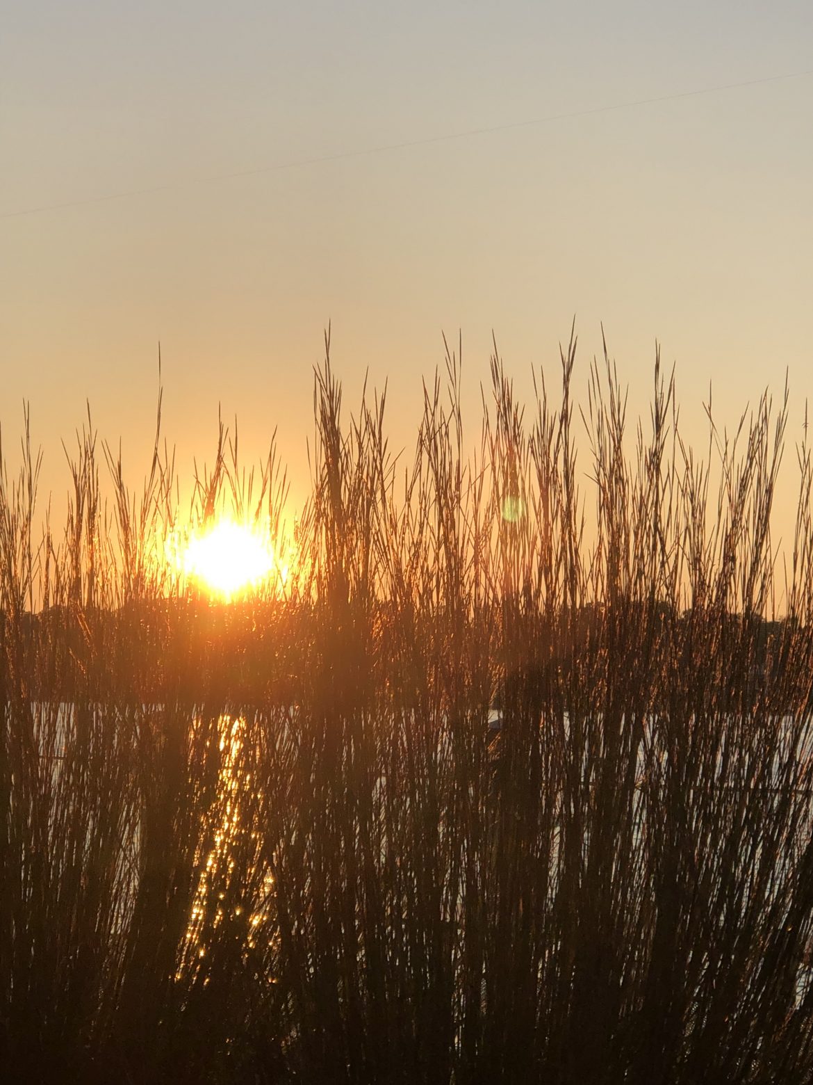 Gift of Interruption