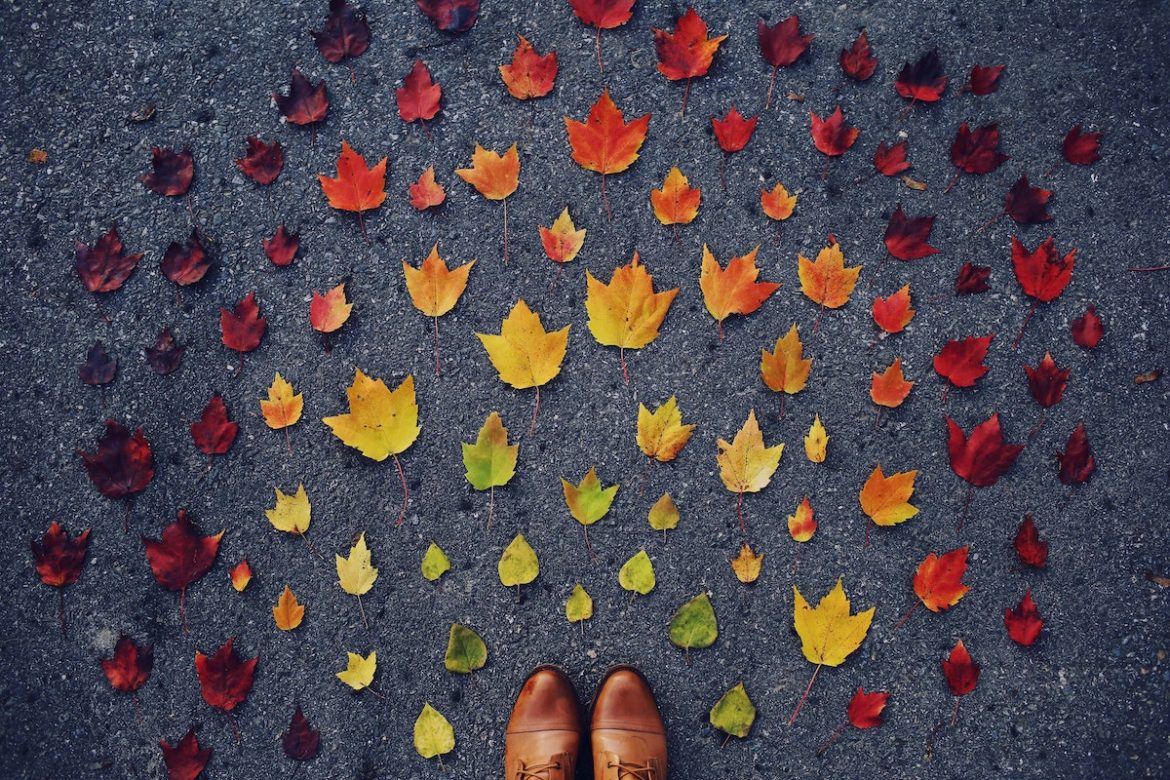 fallon michael 63RUBV0 zp0 unsplash