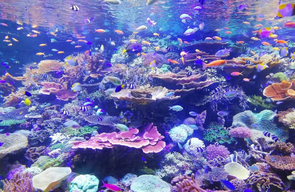 sgr s23xDAYQBCo unsplash