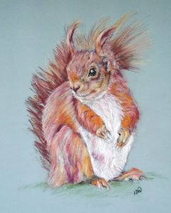 Pastel pencil squirrel from Christine Cassidy wkp Oct 18 crop small 8 x 6