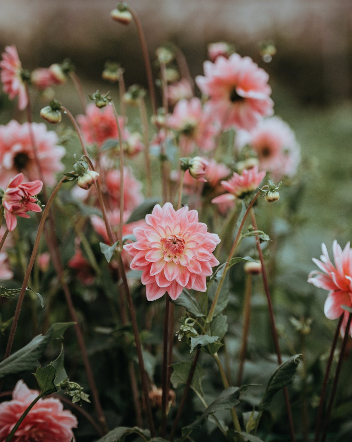 annie spratt kzfq5zQvluI unsplash