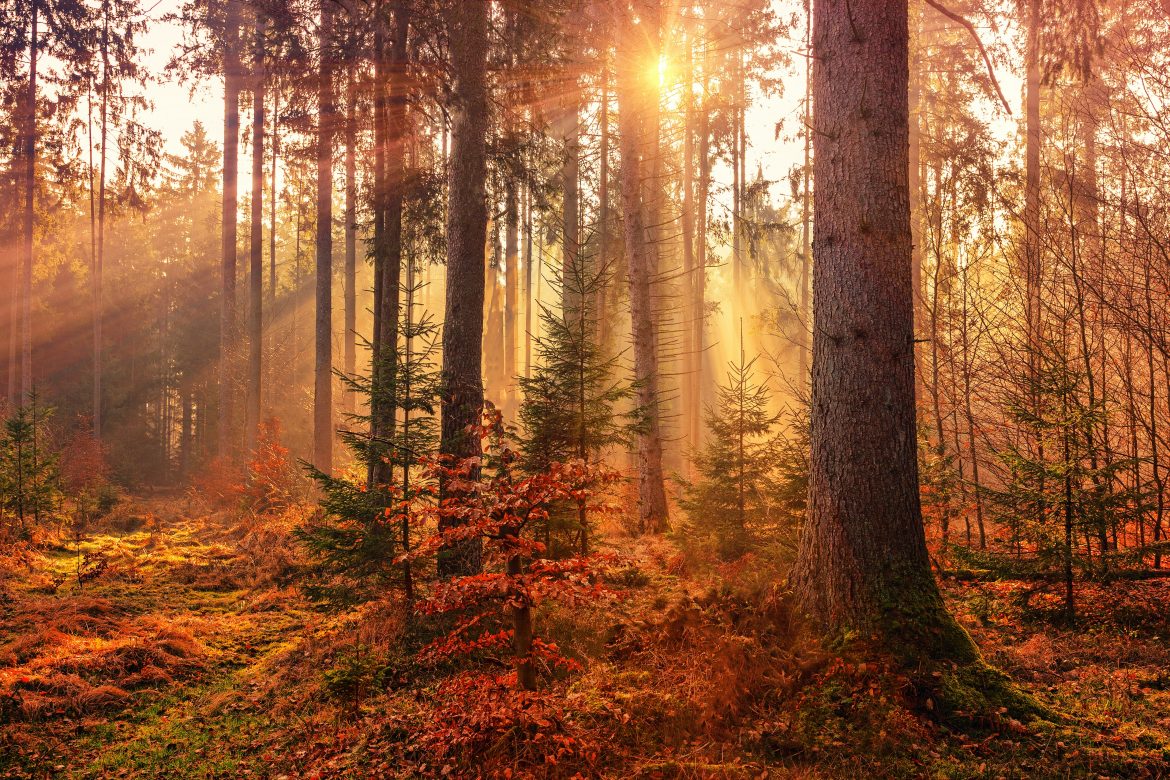 johannes plenio RwHv7LgeC7s unsplash johannes plenio RwHv7LgeC7s unsplash