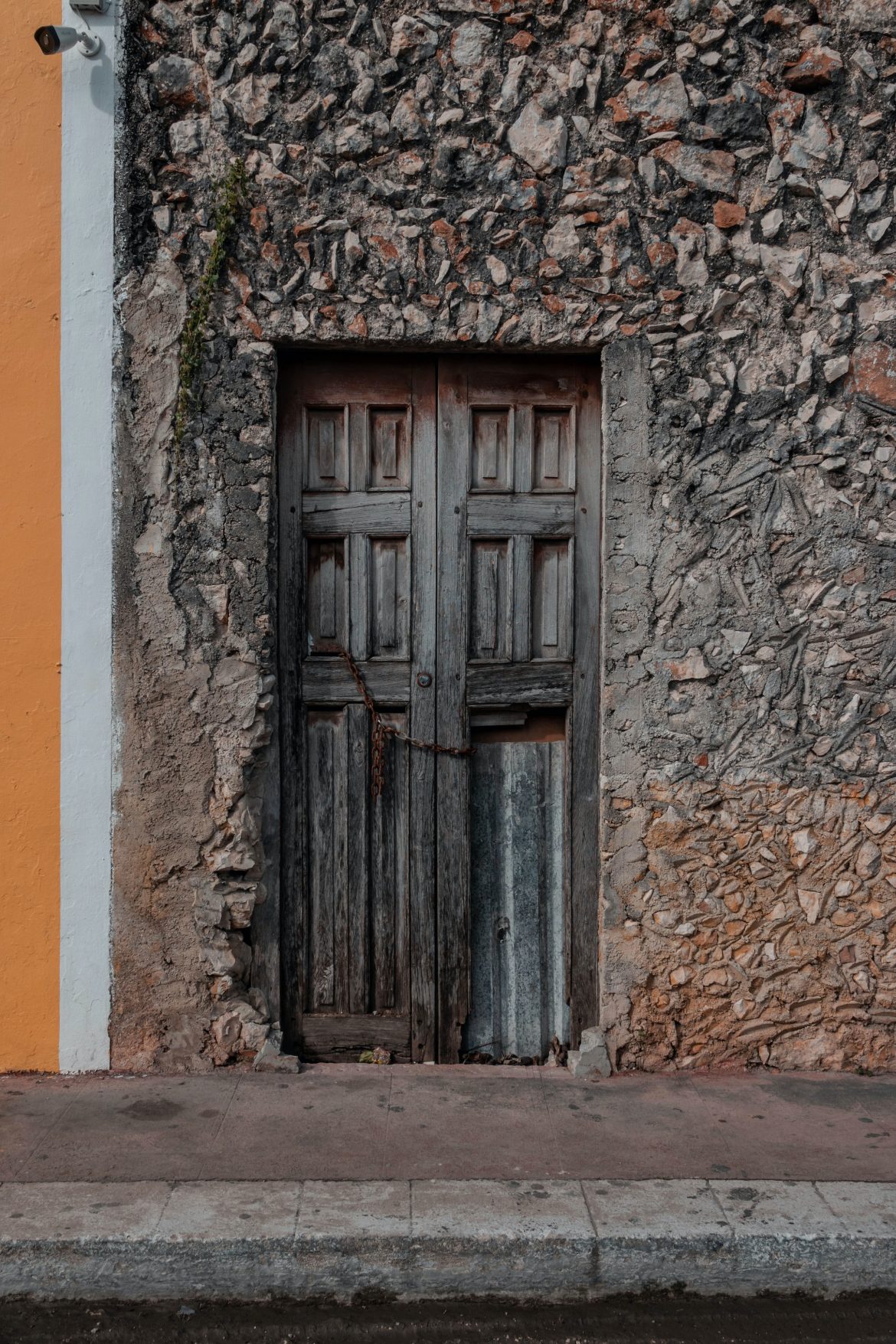 free birds wutwj3RzRGc unsplash 1