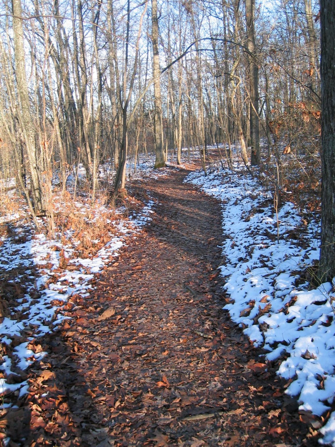 winter path winter path