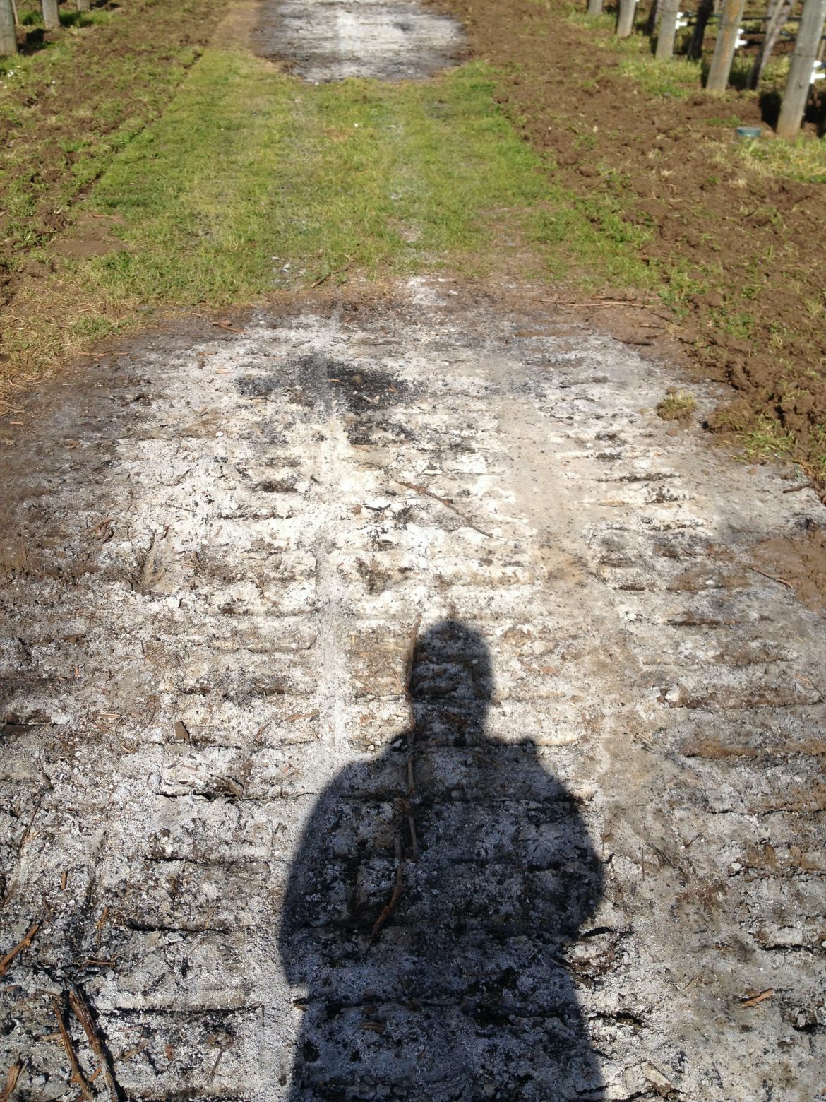 ASHES And Shadows ASHES And Shadows