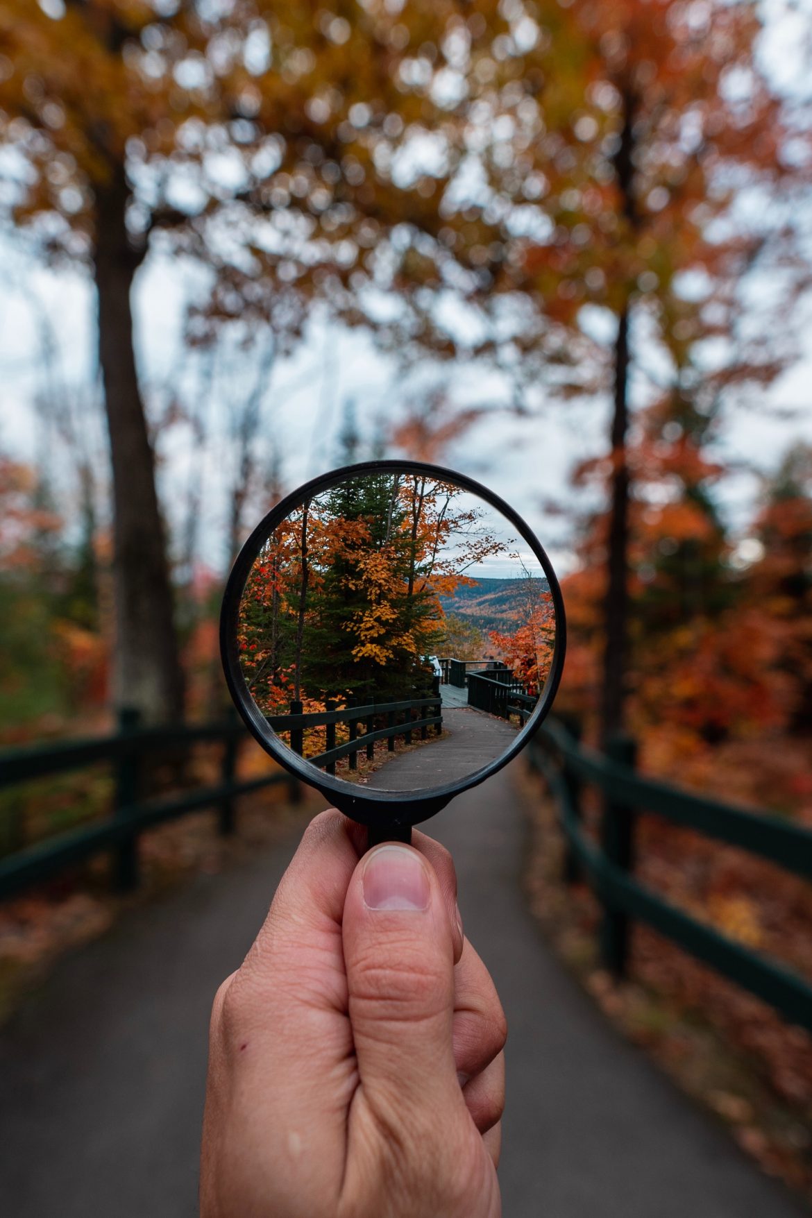 steven wright mq8QogEBy00 unsplash