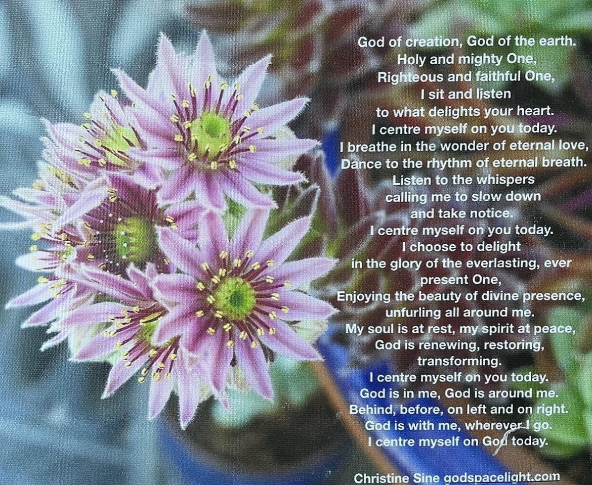 ED279556 0C99 4511 A4F0 67D5EC31F2BD ED279556 0C99 4511 A4F0 67D5EC31F2BD