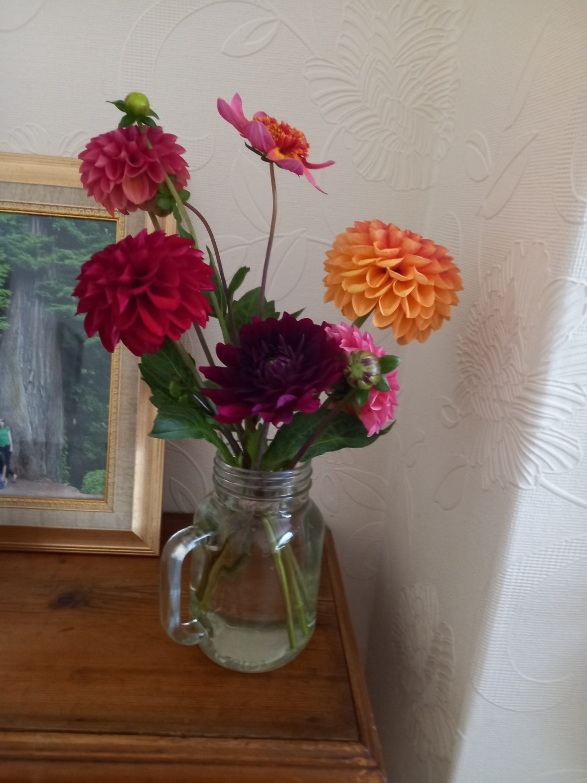 20220818 085959 20220818 085959