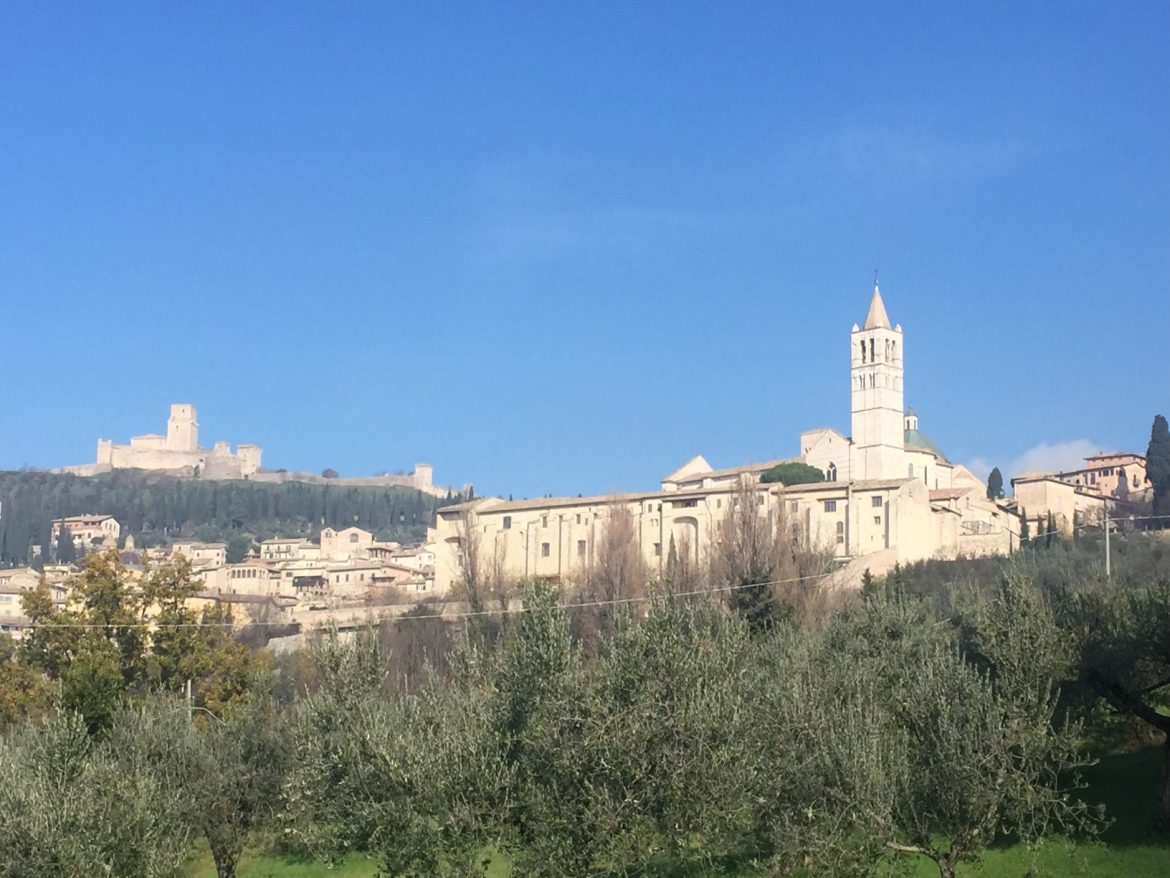 ASSISI ASSISI