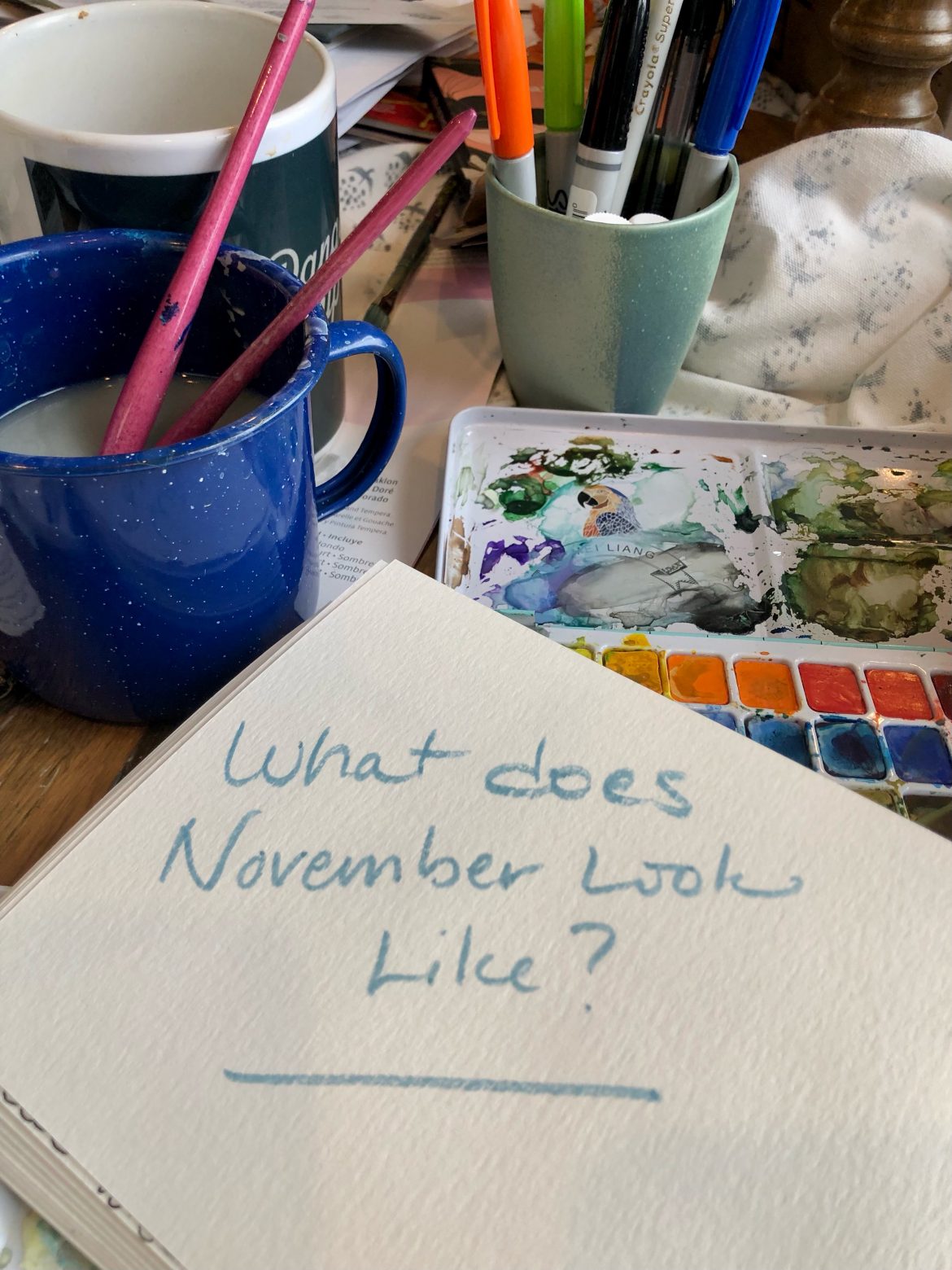 What does Nov look like