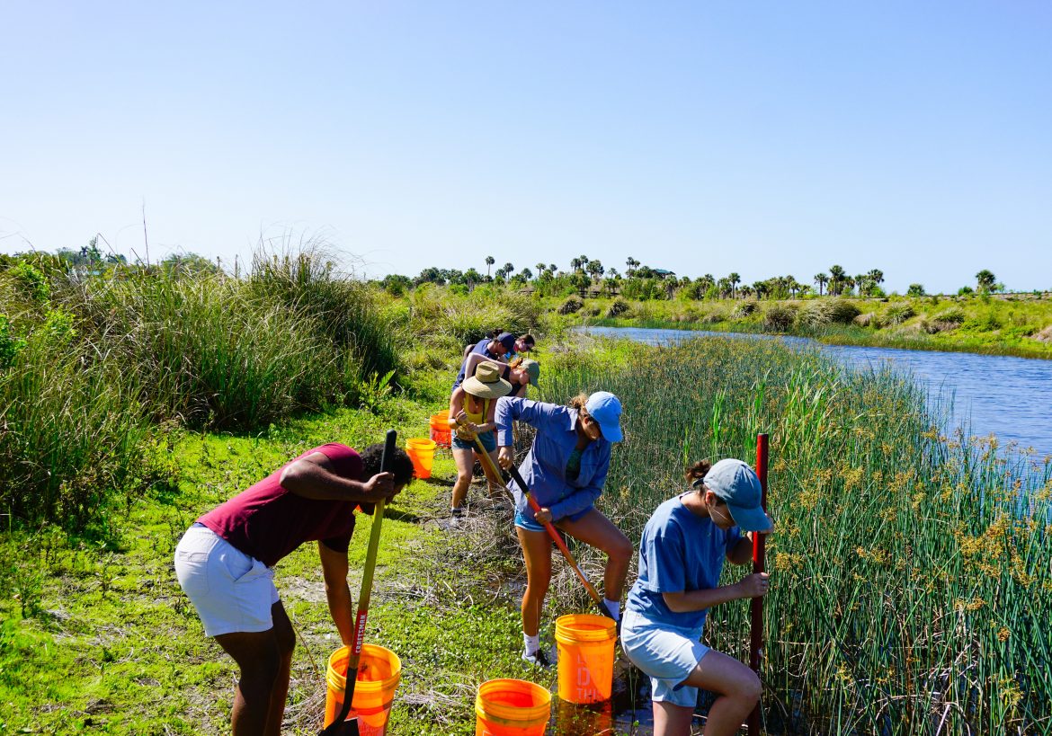 Volunteers use shovels and buckets to remove plants.