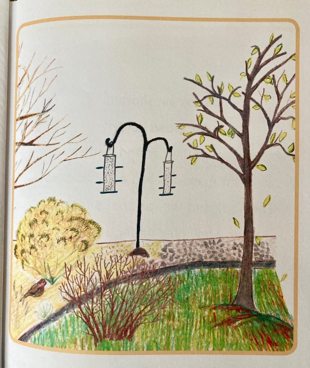 Drawing of a bird feeder in a backyard