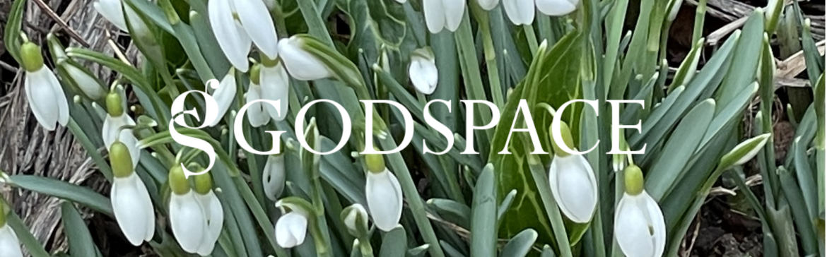 Snowdrops Snowdrop flowers with white Godspace logo
