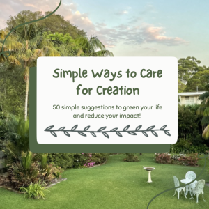 simple ways to care for creation ad
