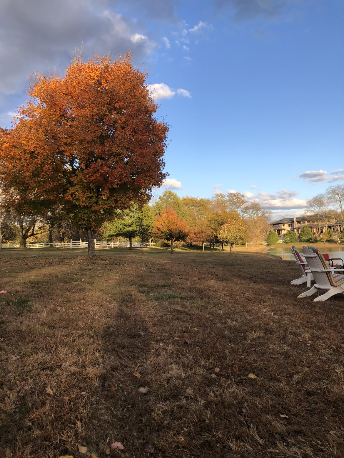 fall fall