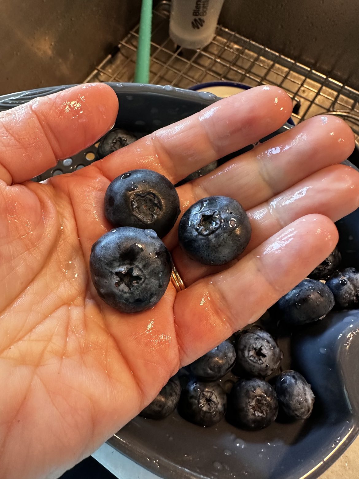 Blueberries Blueberries