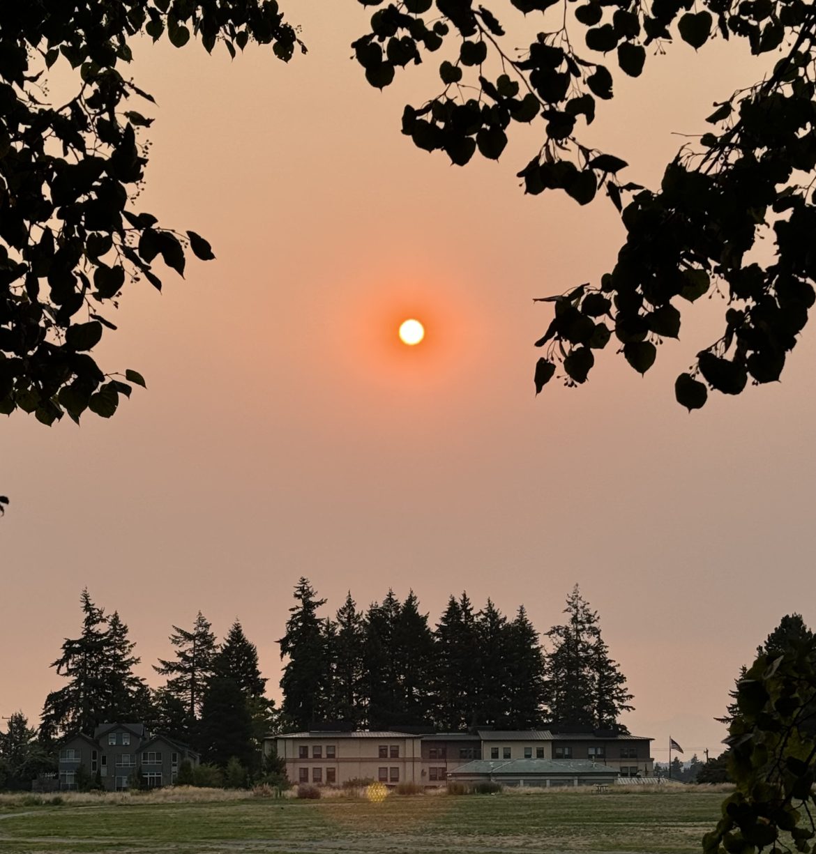 Sunset over Reservoir park Seattle IMG 2298