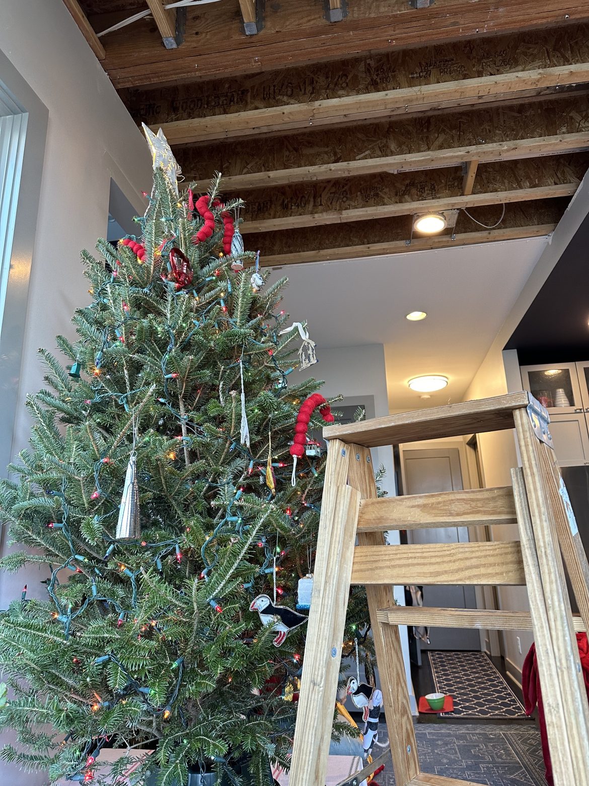 undecorated tree undecorated tree
